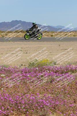 media/Mar-12-2023-SoCal Trackdays (Sun) [[d4c8249724]]/Turn 15 Inside Bloom (130pm)/